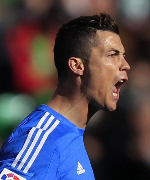 迅速引起了 迅速引起了